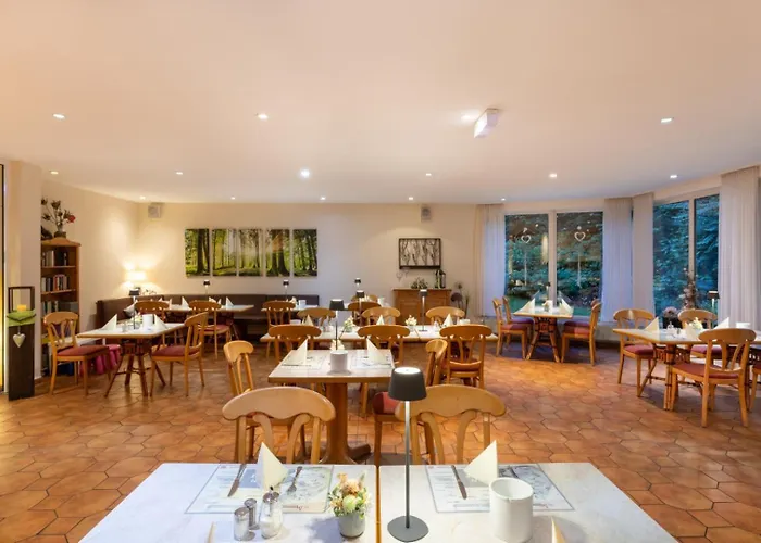 Penzion Montana Diemelstadt